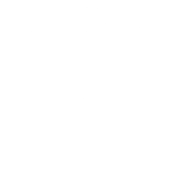 Product image with a clear background