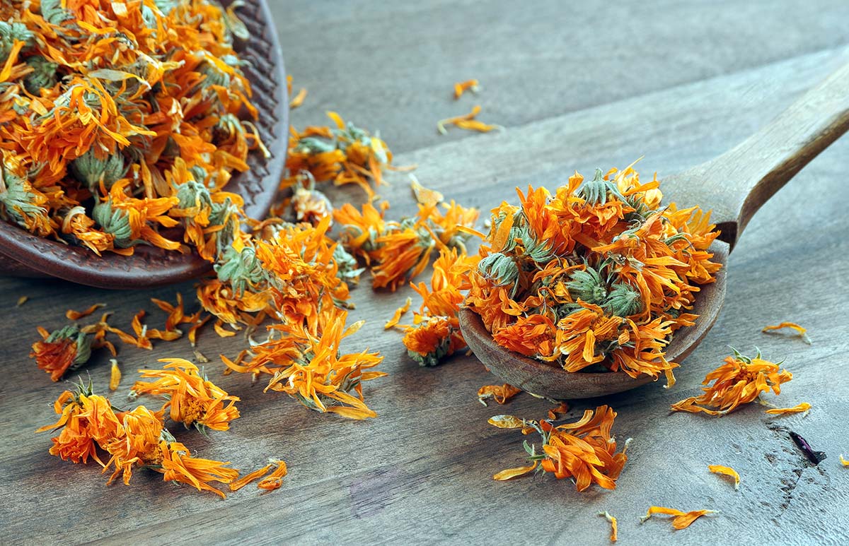 Dried marigold flowers on wooden spoons and surface